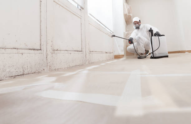 24/7 Emergency Mold Remediation experts in Port Angeles East, WA